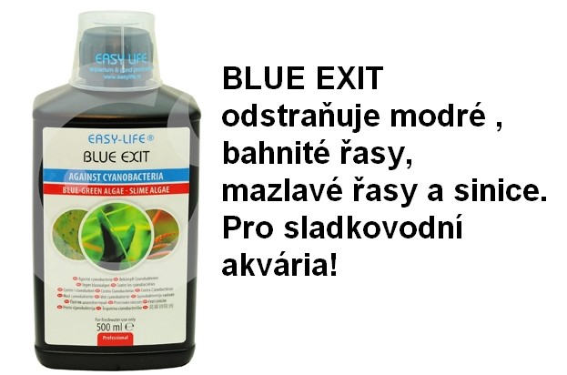 Blue Exit